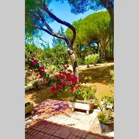 Agradable Con Piscina En La Barrosa Holiday home Chiclana de la Frontera