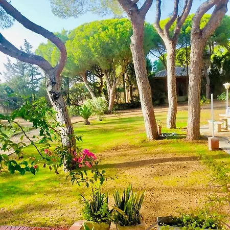 Agradable Con Piscina En La Barrosa Holiday home Chiclana de la Frontera